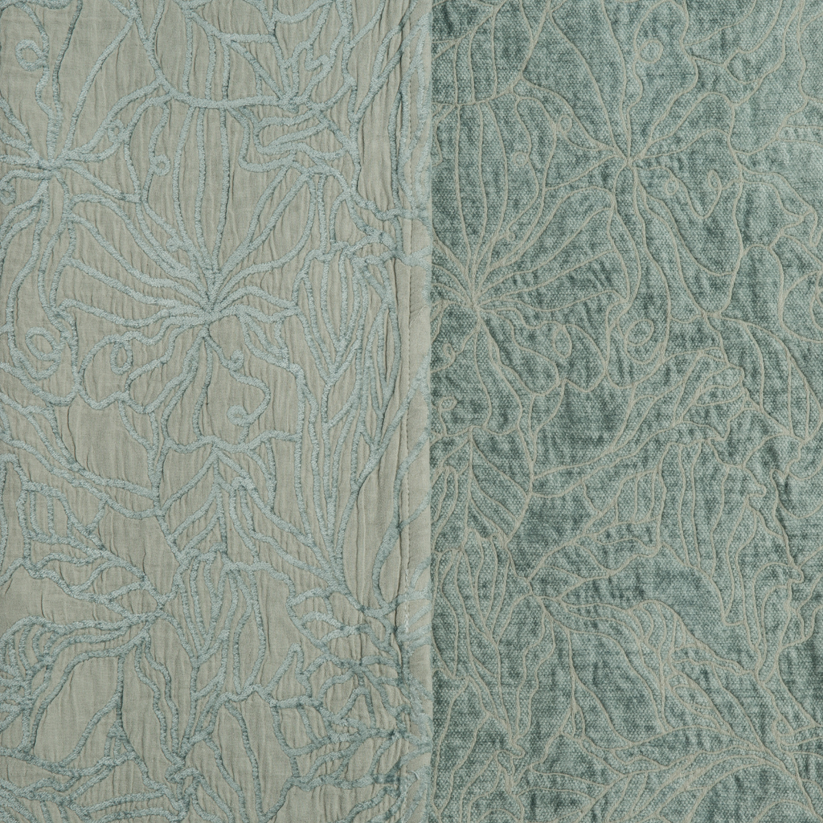 Eucalyptus