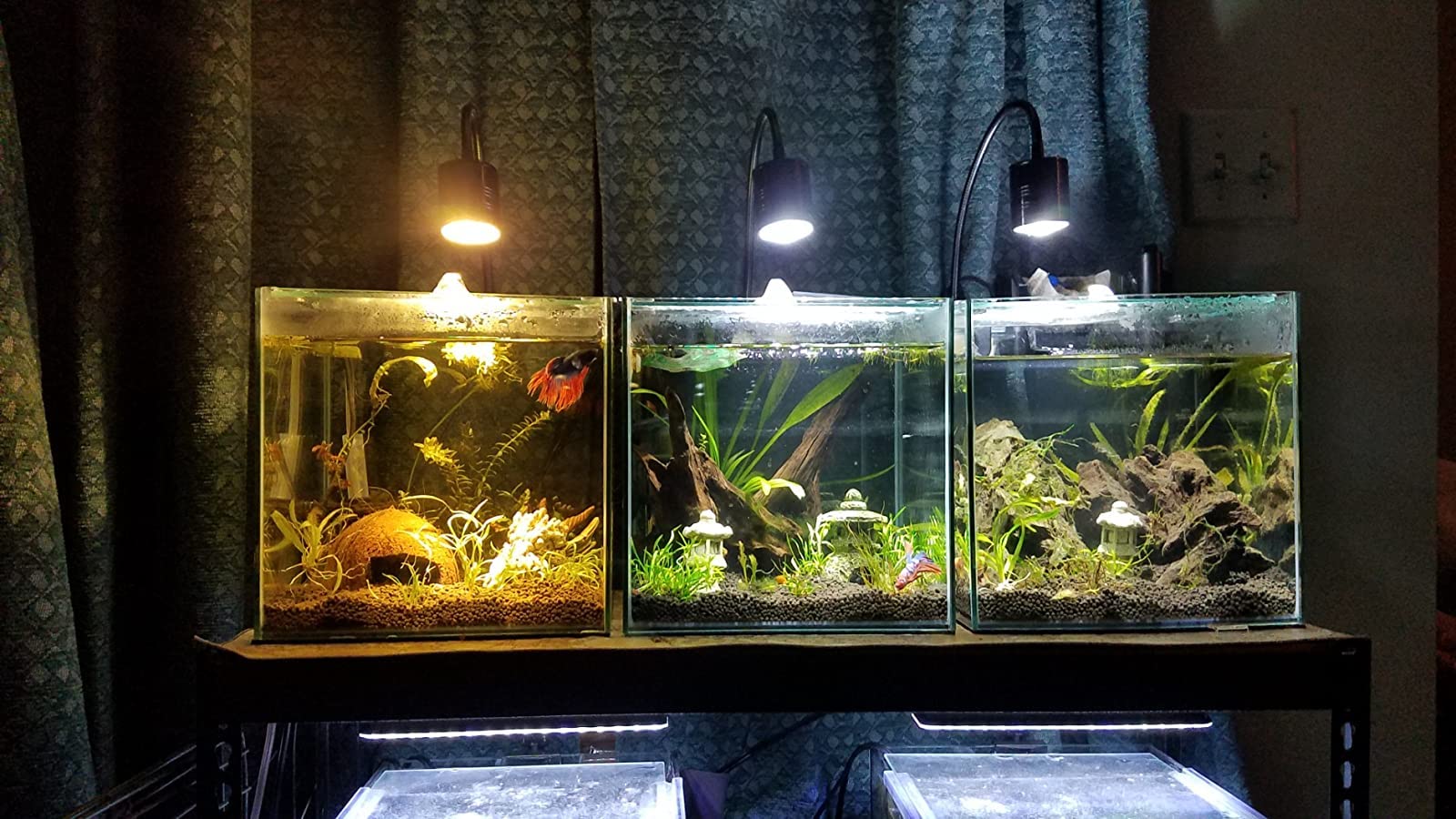 LED Aquarium Light for Freshwater Fish Tanks - Adjustable 3000K/4000K/6000K Full Spectrum Lighting for Planted Aquariums, Vivariums & Terrariums - Perfect for Aquatic Plants, Coral Growth & Fish Health Enhancement