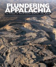 Plundering Appalachia: The Destruction of America's Wilderness [Softcover Book] - Perfect for History Buffs & Environmental Studies