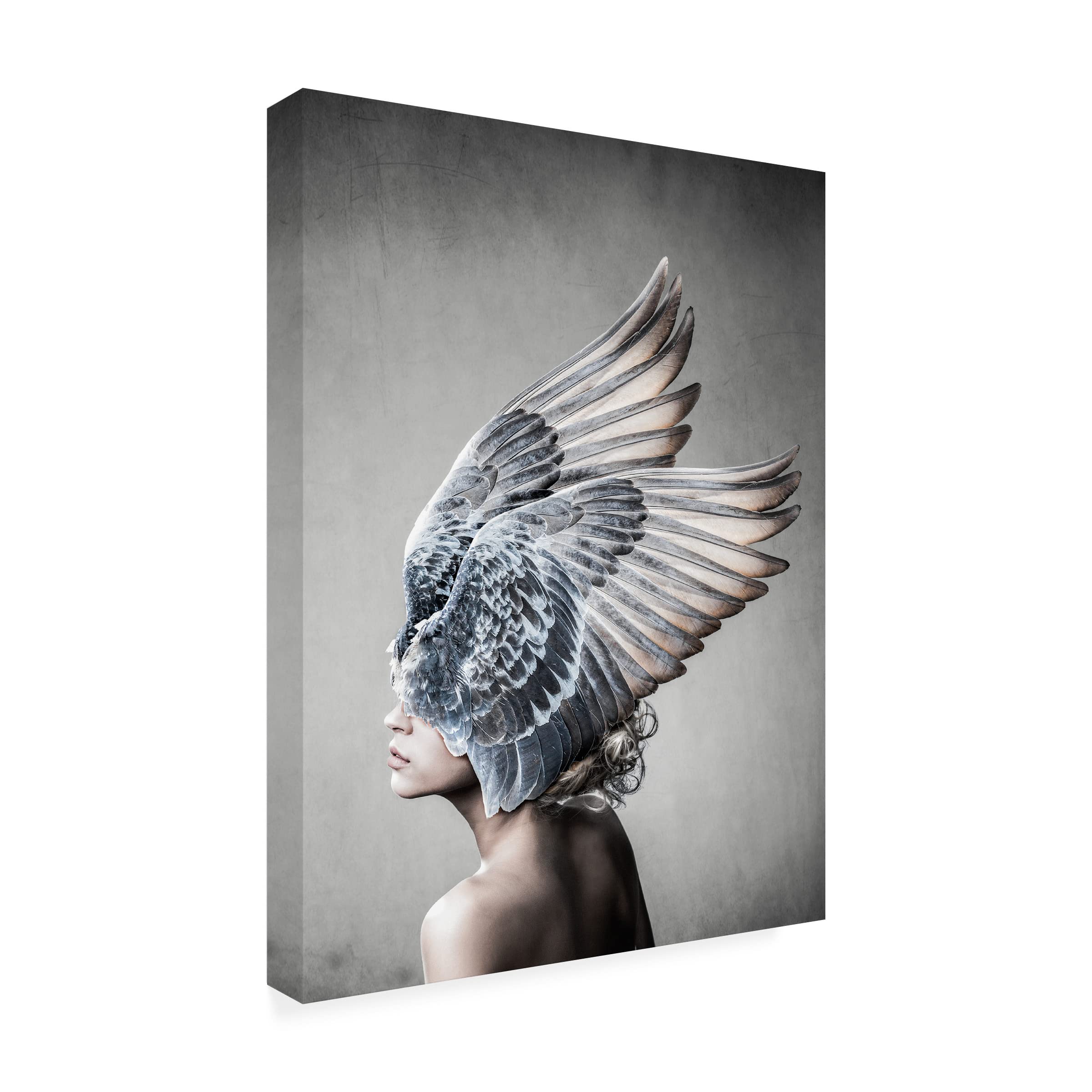 Trademark Fine Art 'Selene' Canvas Wall Art by Design Fabrikken - Elegant Home Decor for Living Room, Bedroom & Office