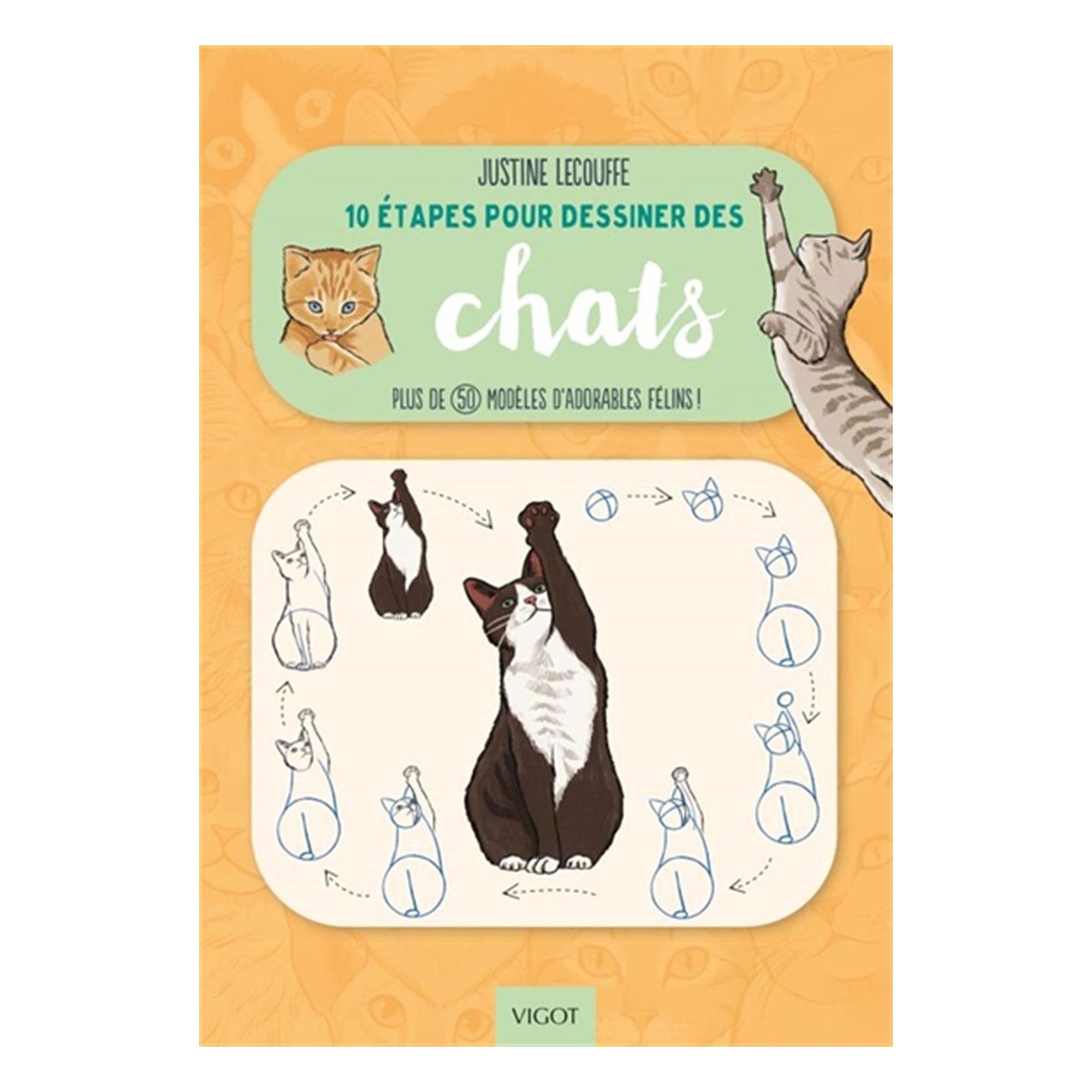 10 Steps to Draw Cats - Easy Cat Drawing Guide for Beginners | Perfect for Sketching, Art Projects & DIY Gifts