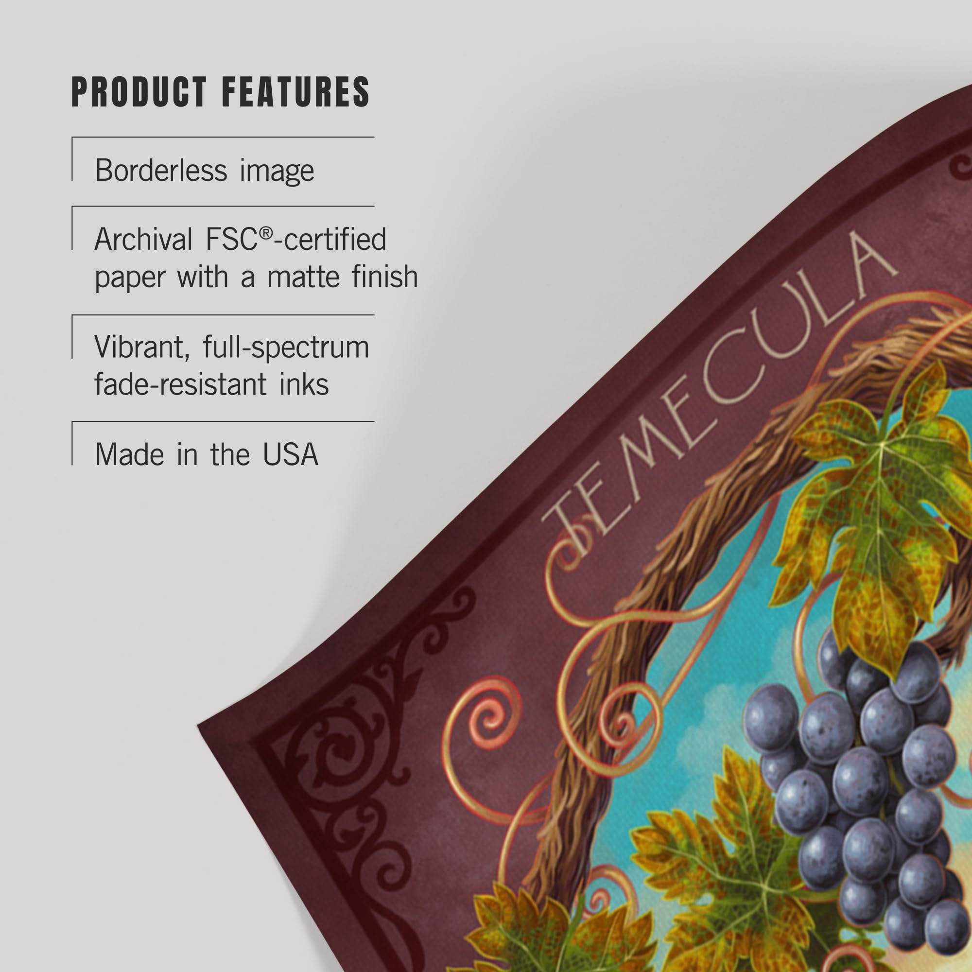 Lantern Press 16x24 Inch Giclee Print - Temecula California Merlot Wine Vineyard Wall Art - Perfect for Home Decor, Office & Wine Tasting Room