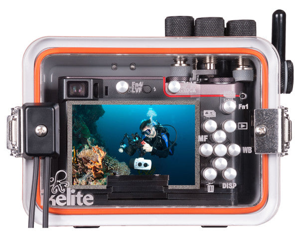 Ikelite Waterproof Underwater Housing for Panasonic ZS100 TZ100 TZ101 - Durable Dive Case for Underwater Photography & Snorkeling Adventures
