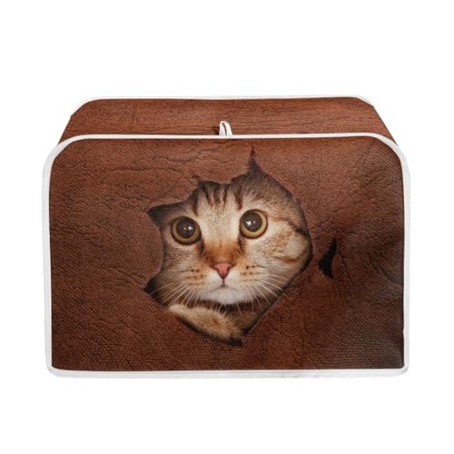 Cute Brown Cat