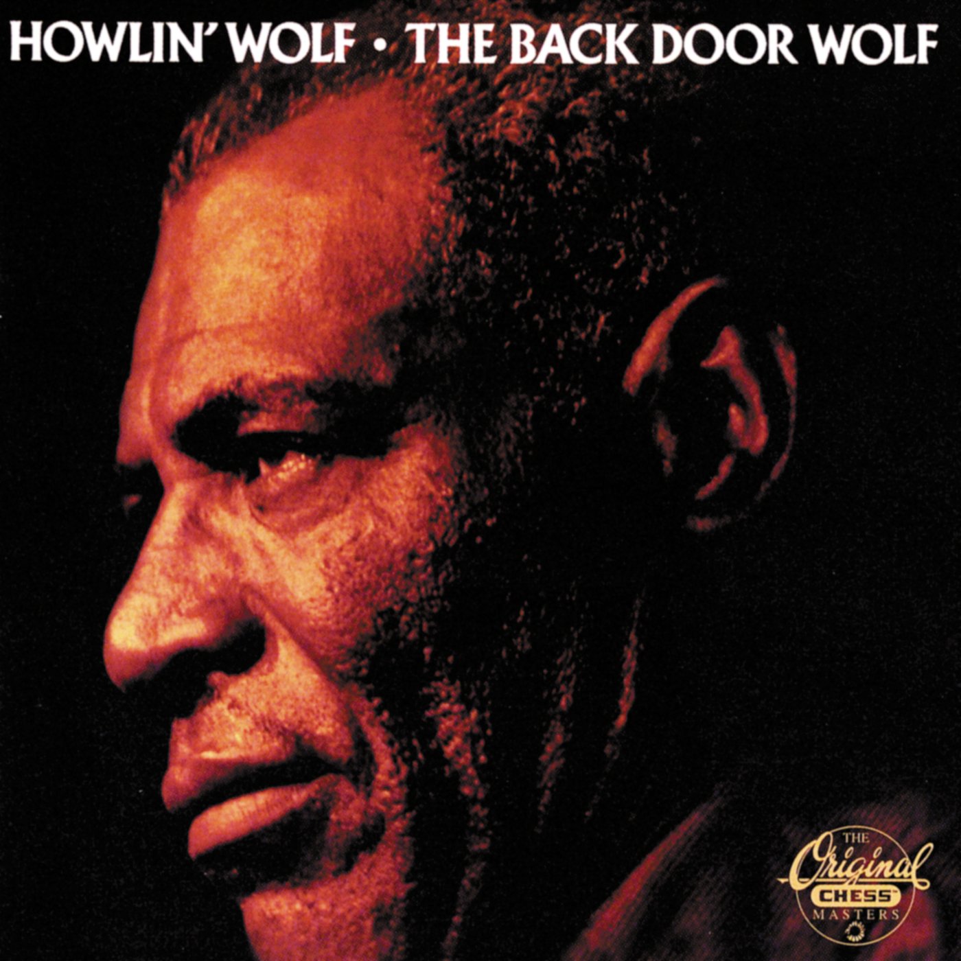Back Door Wolf - Premium Outdoor Security Door for Enhanced Home Protection | Ideal for Front Entry, Patio, and Garage Security