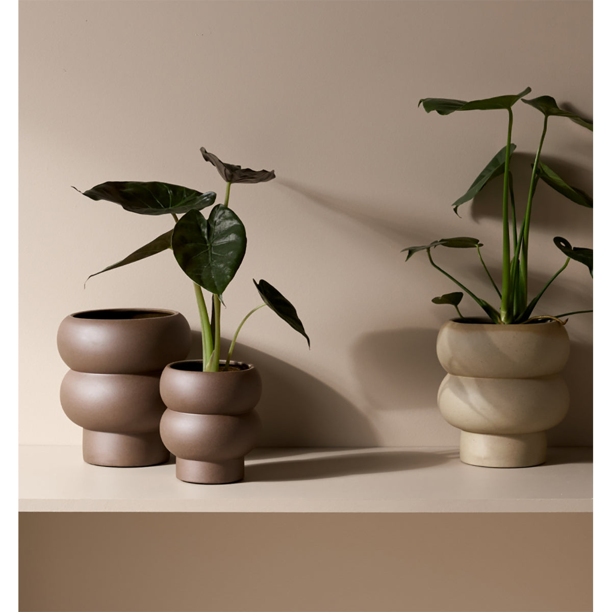Middle Of Nowhere Billie Planter - Modern Ceramic Flower Pot for Indoor Plants, Succulents & Home Decor | Perfect for Living Room, Office Desk & Gift Giving
