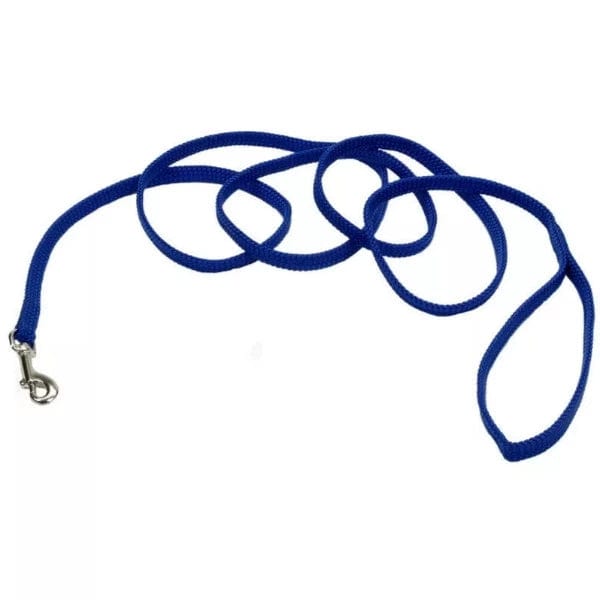 Coastal Sunburst Dog Leash - Durable Reflective Pet Walking Lead with Comfortable Padded Handle for Small Medium Large Dogs - Perfect for Beach Walks, Park Adventures & Nighttime Safety