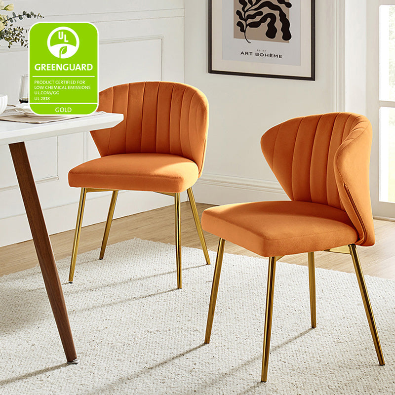 Aruna Side Chair Set - Modern Dining Chairs for Kitchen, Living Room & Office - 2-Piece Wooden Accent Chairs with Cushion - Perfect for Small Spaces, Breakfast Nook & Home Decor