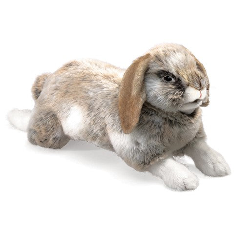 Folkmanis Holland Lop Rabbit Hand Puppet - Soft Plush Animal Toy for Kids Storytelling, Role Play & Educational Fun