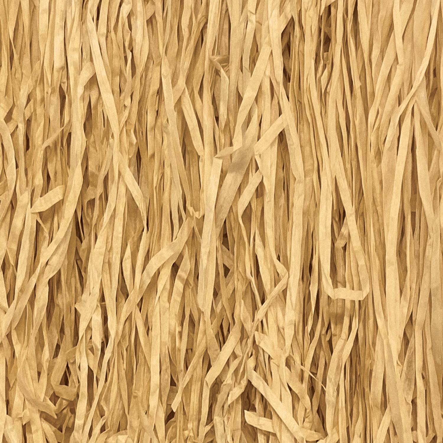 12 Pack Beistle Adult Mini Hula Skirt - Natural Coconut Fiber Grass Skirts for Hawaiian Luau Party, Halloween Costume & Tropical Themed Events