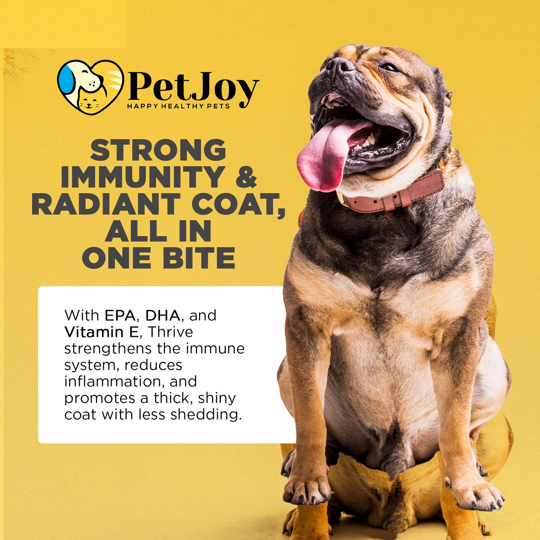 PetJoy Thrive Dog Multivitamin Soft Chews - Daily Supplement for Energy, Skin & Coat Health, Strong Bones & Teeth - Complete Multivitamin for Dogs & Pets (60 Count) - Perfect for Active Dogs & Senior Pets
