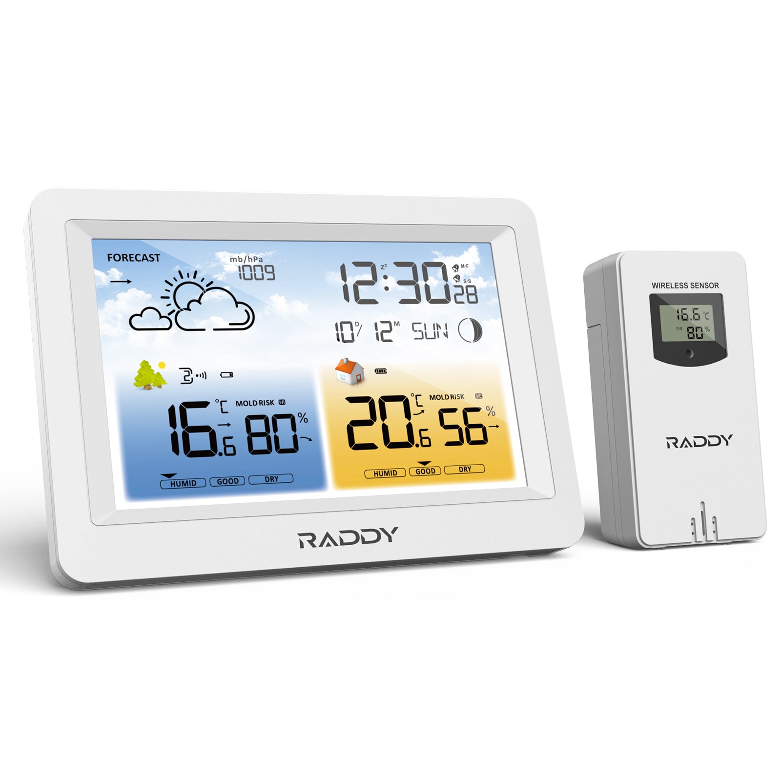 Raddy WM6 Wireless Weather Station with Indoor Outdoor Thermometer Hygrometer - 2000mAh Battery Powered - Mold Risk Alert - Perfect for Home, Office, Greenhouse & Baby Room Monitoring