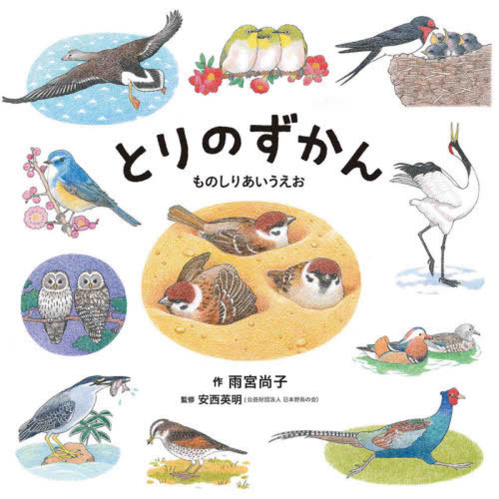 Tori no Sekai - Japanese Bird-Themed Stationery Set for Writing & Gifting | Perfect for Students, Office Use & Creative Journaling