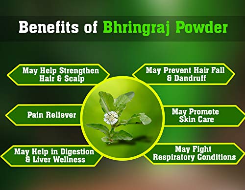 Ayur Champ Bhringraj Powder for Hair Growth - 1000g | Natural Ayurvedic Herbal Remedy for Thicker, Longer Hair | Promotes Scalp Health & Reduces Hair Fall | Perfect for DIY Hair Masks & Ayurvedic Treatments
