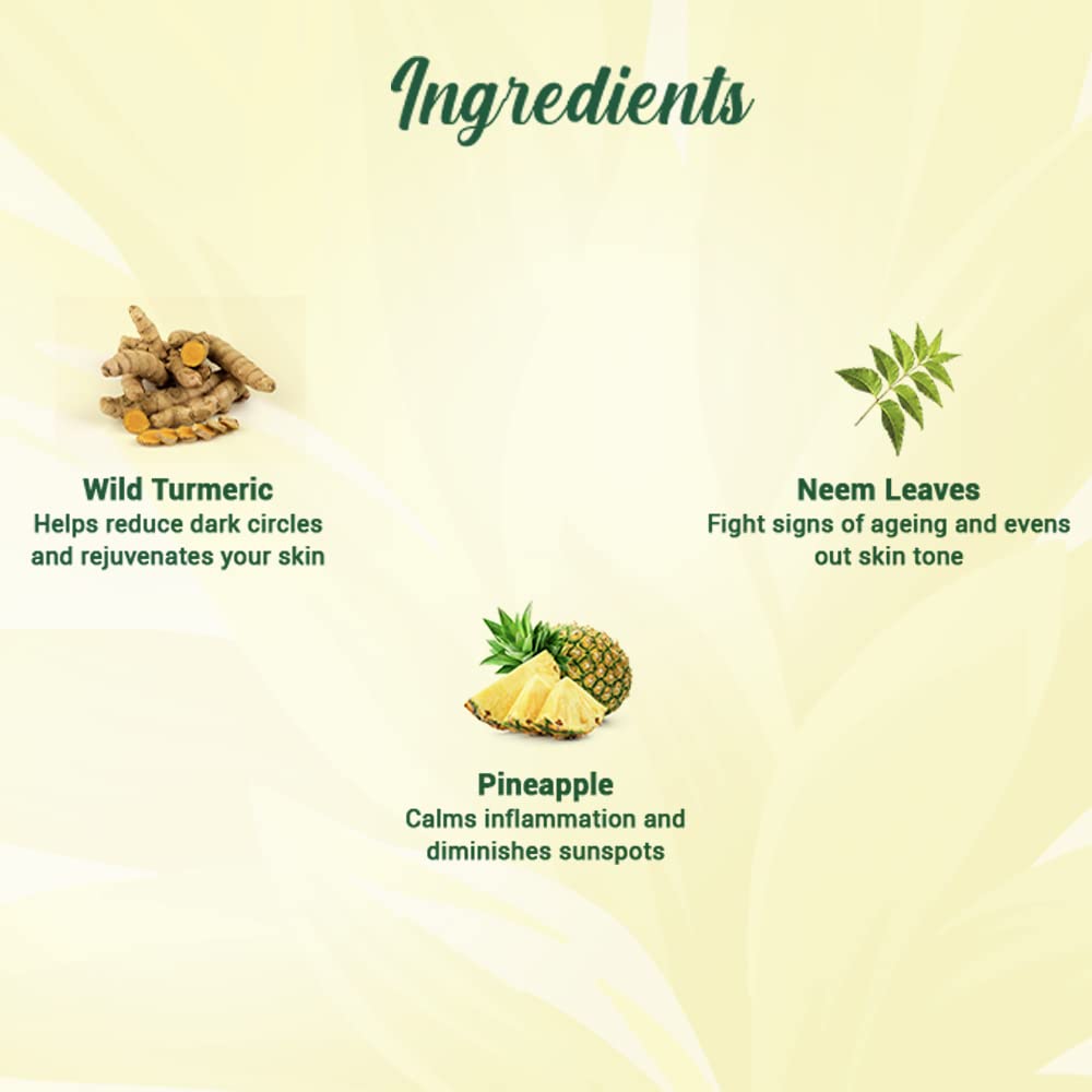 Biotique Pineapple Oil Control Foaming Face Wash for Oily & Dry Skin - Hydrating, Oil-Free, Even Skin Tone with 100% Natural Botanical Extracts - 150ml - Perfect for Daily Cleansing & Acne-Prone Skin Care Routine