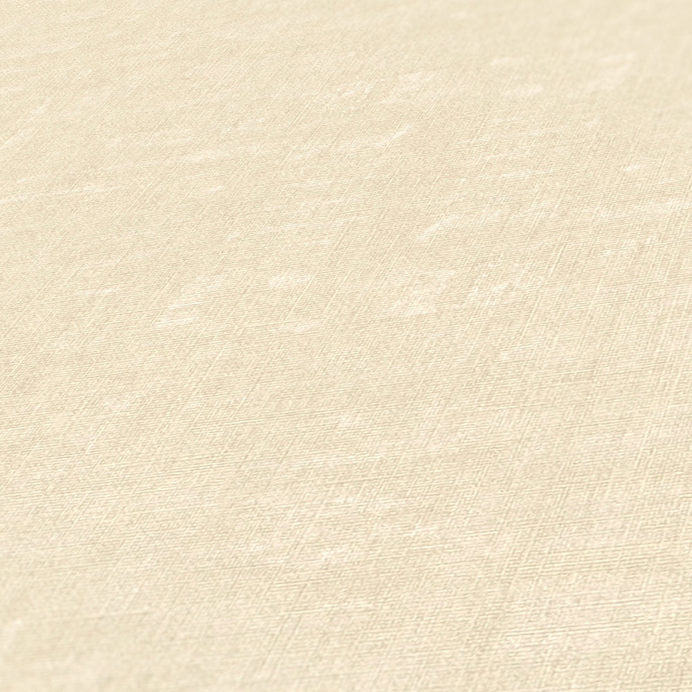 Nara Mottled Plain - Stylish and Versatile Home Decor for Living Room, Bedroom, or Office