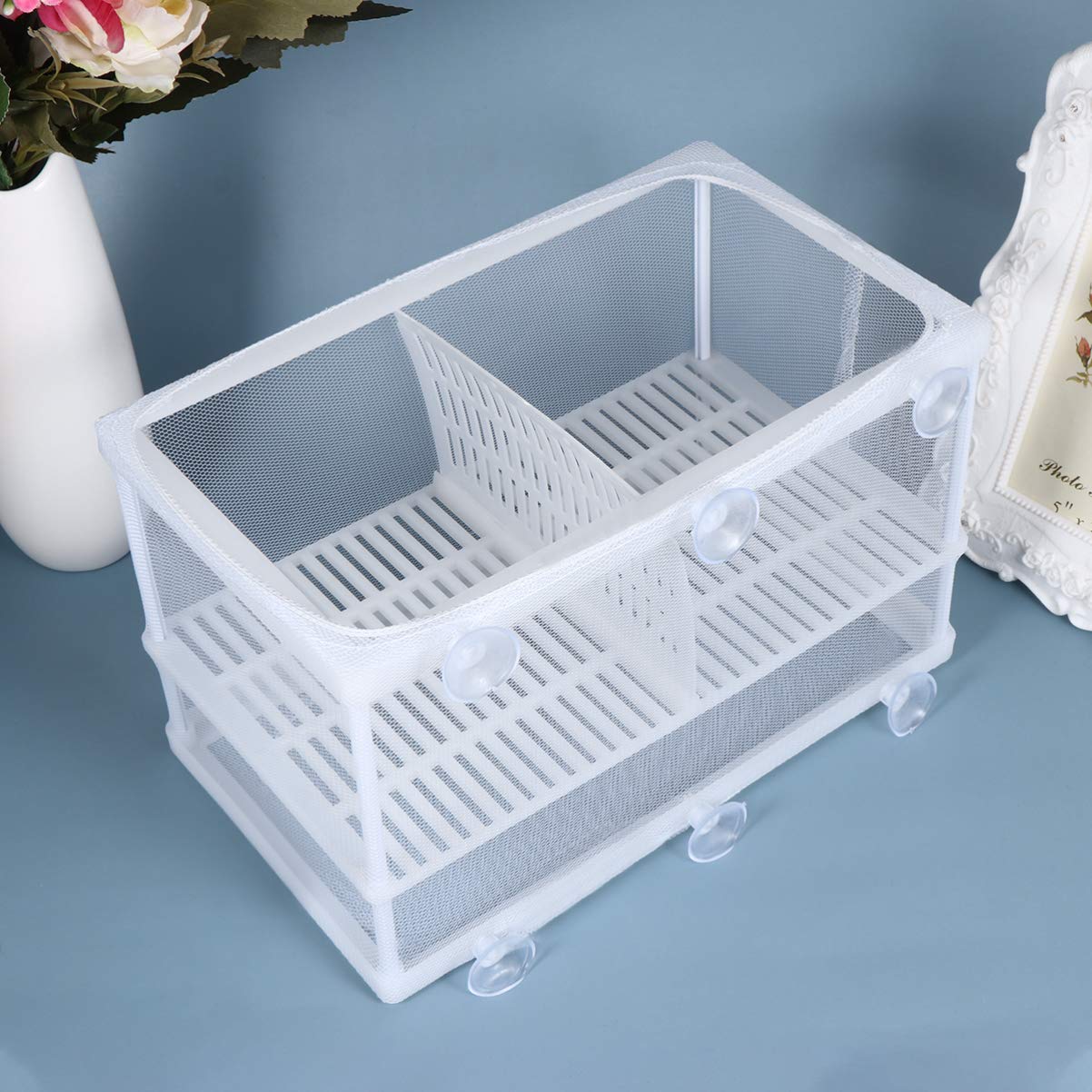 POPETPOP Home Aquarium Tank Case - 1PC Household Fish Tank Water Changer, Fry Net & Water Absorber for Small Fish Breeding, Terrarium Partition | Perfect for Aquarium Maintenance & Fry Separation