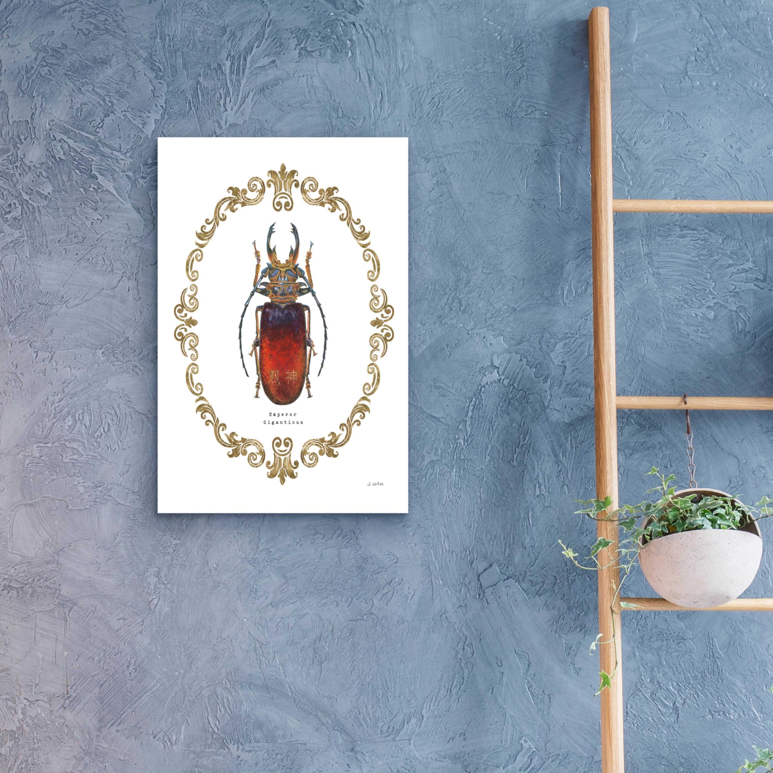 Adorning Coleoptera I by James Wiens - 16x24 Inch Acrylic Glass Wall Art Painting | Modern Home Decor for Living Room, Bedroom & Office