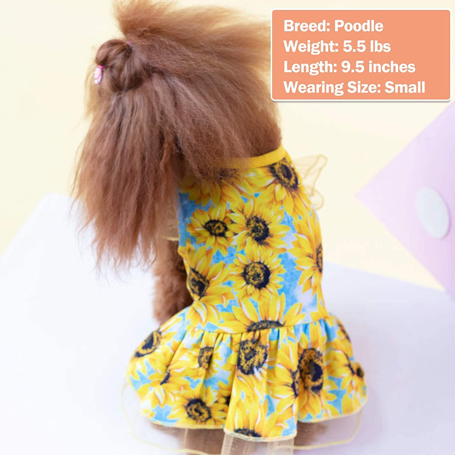 KYEESE Sunflower Dog Dress for Medium Dogs - Cute Tulle Sundress with Ruffle Sleeves, Pet Apparel for Small to Medium Breeds | Perfect for Summer Outings, Photo Shoots & Special Occasions