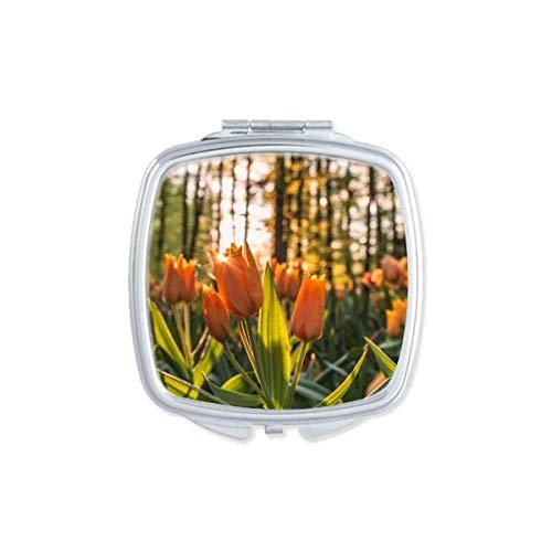 DIYthinker Flower Forestry Science Nature Scenery Mirror - Portable Compact Pocket Makeup Mirror with Double Sided Glass for Travel, Home Vanity & Outdoor Adventures