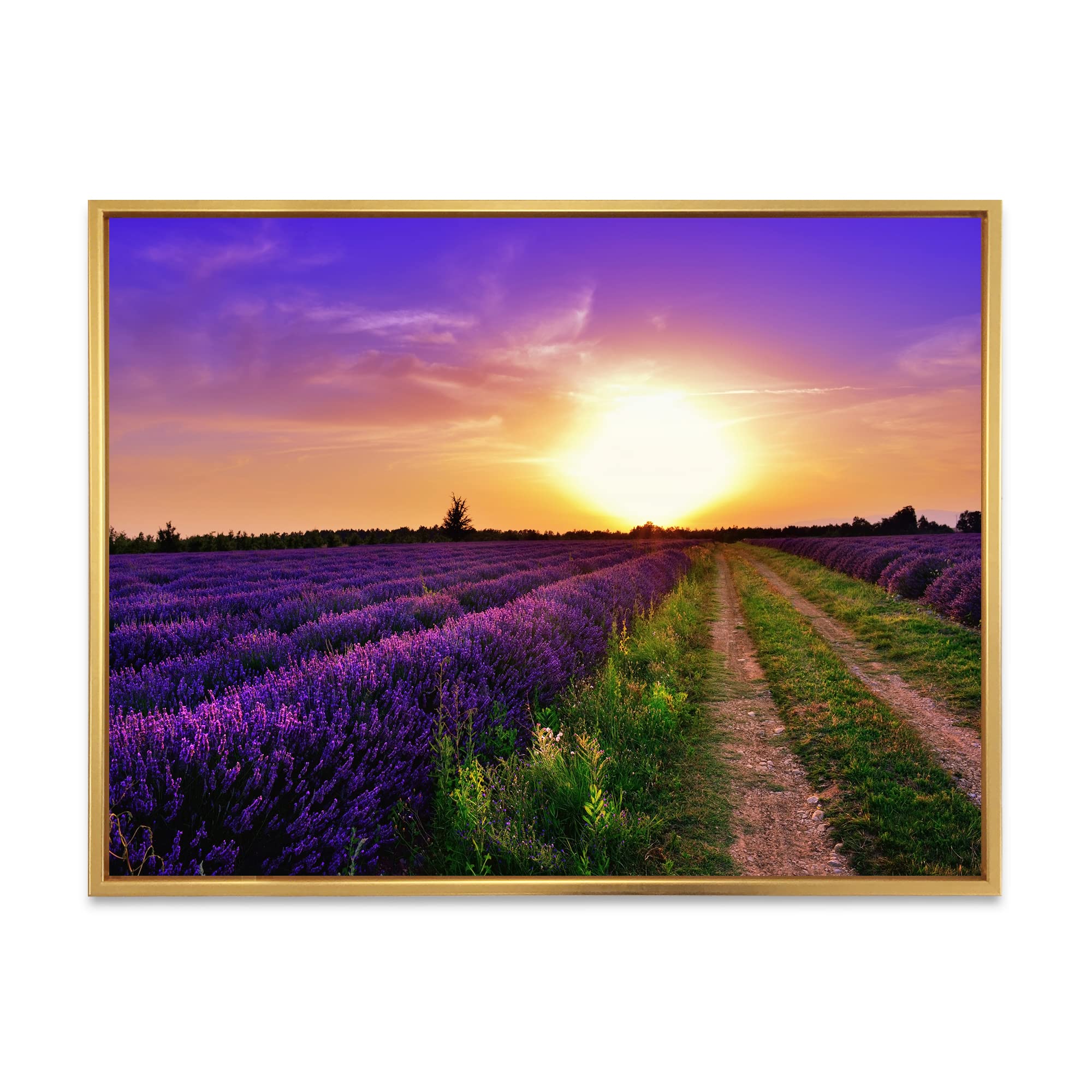 DesignQ Lavender Field At Dawn II - Farmhouse Style Framed Canvas Wall Art Print for Living Room, Bedroom & Office Decor