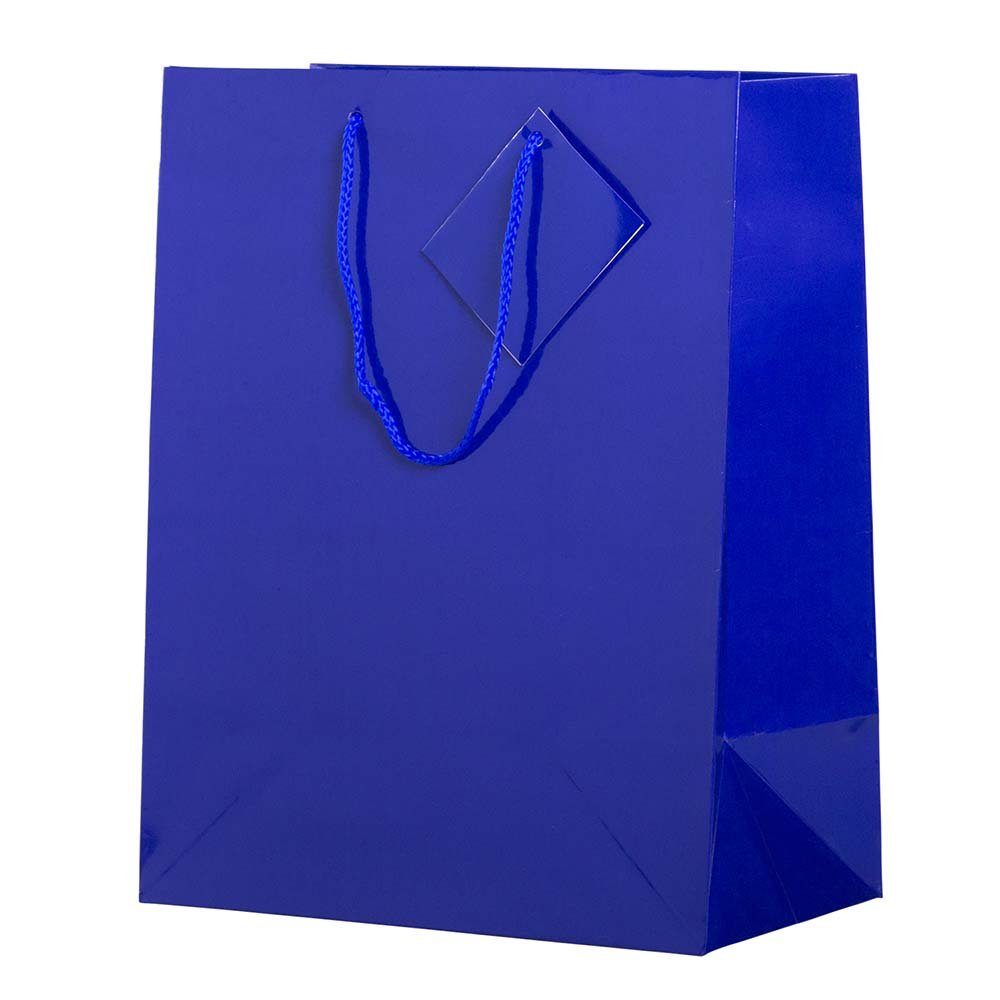JAM Paper Glossy Blue Gift Bags with Rope Handles - 10x5x13 Inches - Bulk Pack of 100 - Perfect for Party Favors, Wedding Gifts & Holiday Packaging