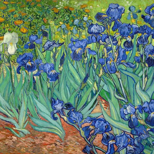 Irises in the Garden