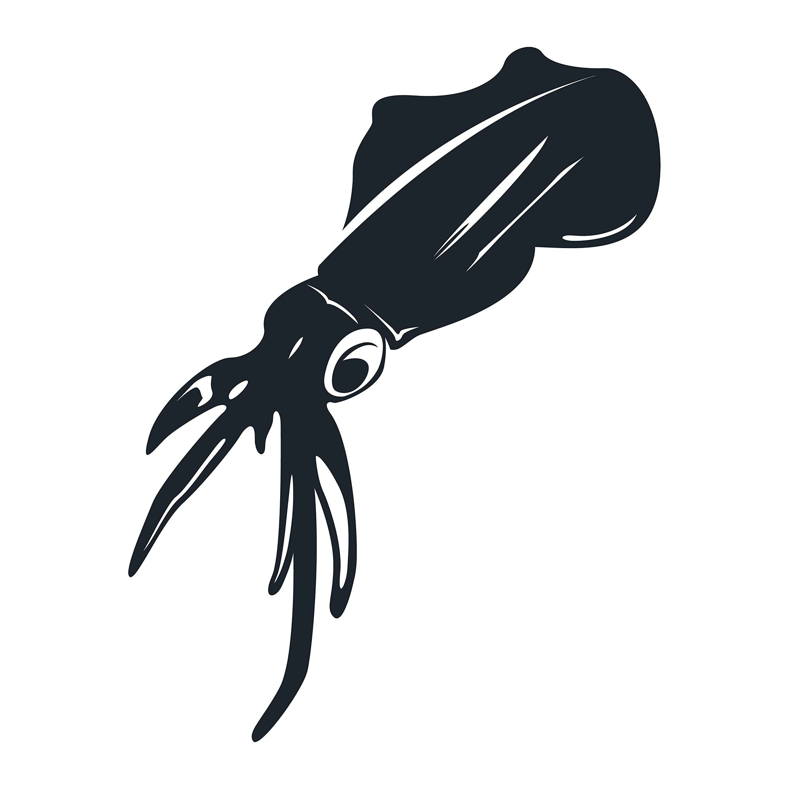 Giant Sea Squid Wall Decals for Kids Room - 16x20 Inch Ocean Animal Wall Stickers for Boys & Girls Bedroom Decor - DIY Creative Underwater Theme Nursery Decoration - Perfect for Birthday Parties & Playroom Wall Art