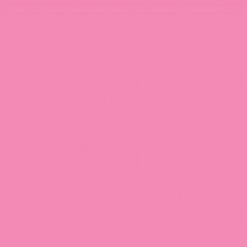 Amsterdam Acrylic Markers 4mm - Quinacridone Rose Light | Premium Acrylic Paint Markers for Artists, DIY Crafts & Calligraphy | Perfect for Canvas, Wood, Glass & Fabric Painting