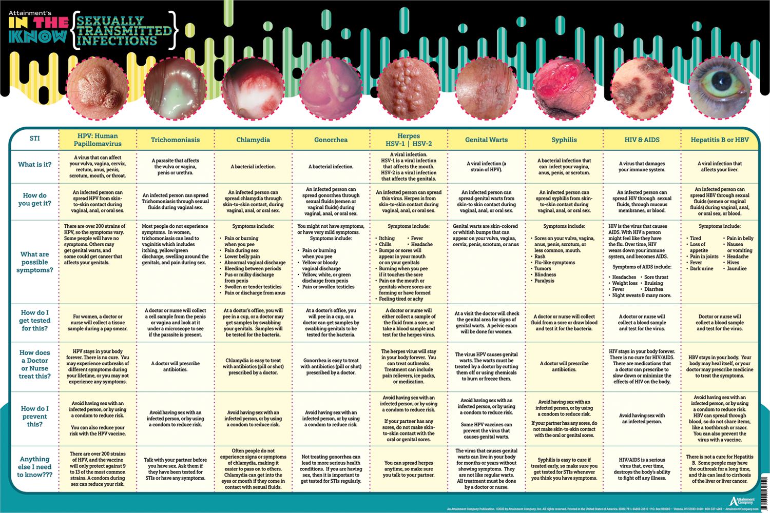 Comprehensive Health, Sexuality & Relationships Curriculum - Essential Guide for Educators & Students | Perfect for Classrooms & Online Learning