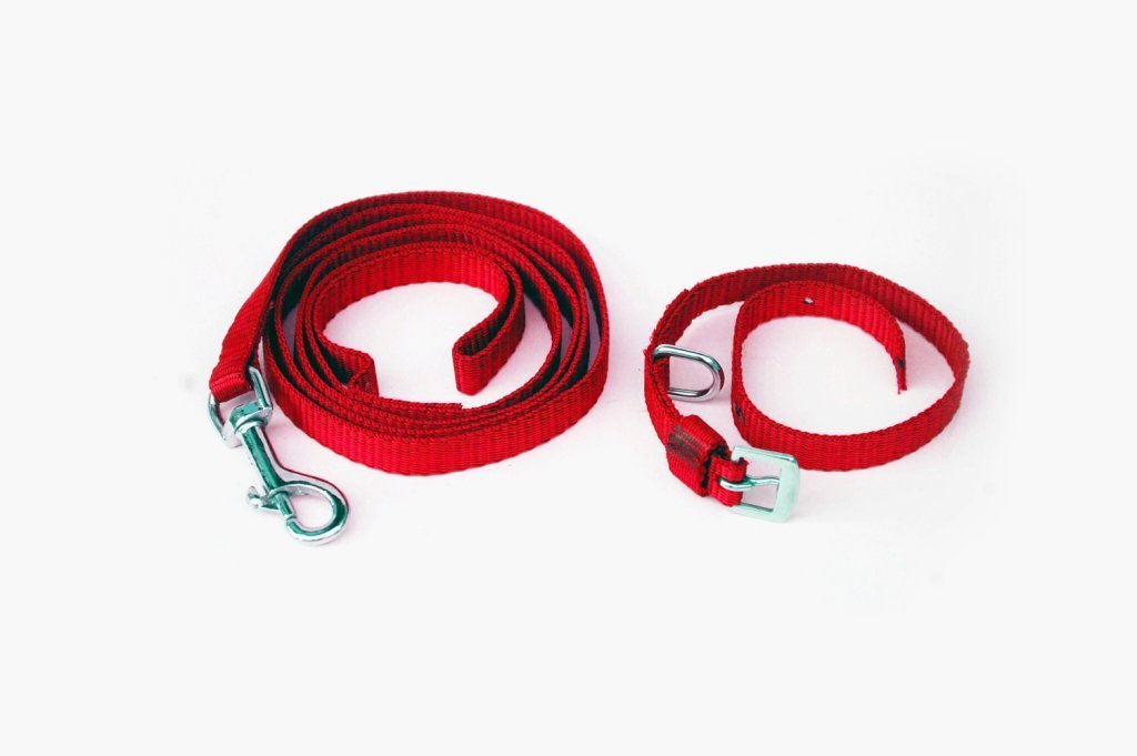 **MUNCHOS Small Dog Nylon Leash and Collar Set (0.75-inch) - Durable & Adjustable for Walking, Training, and Outdoor Adventures**
