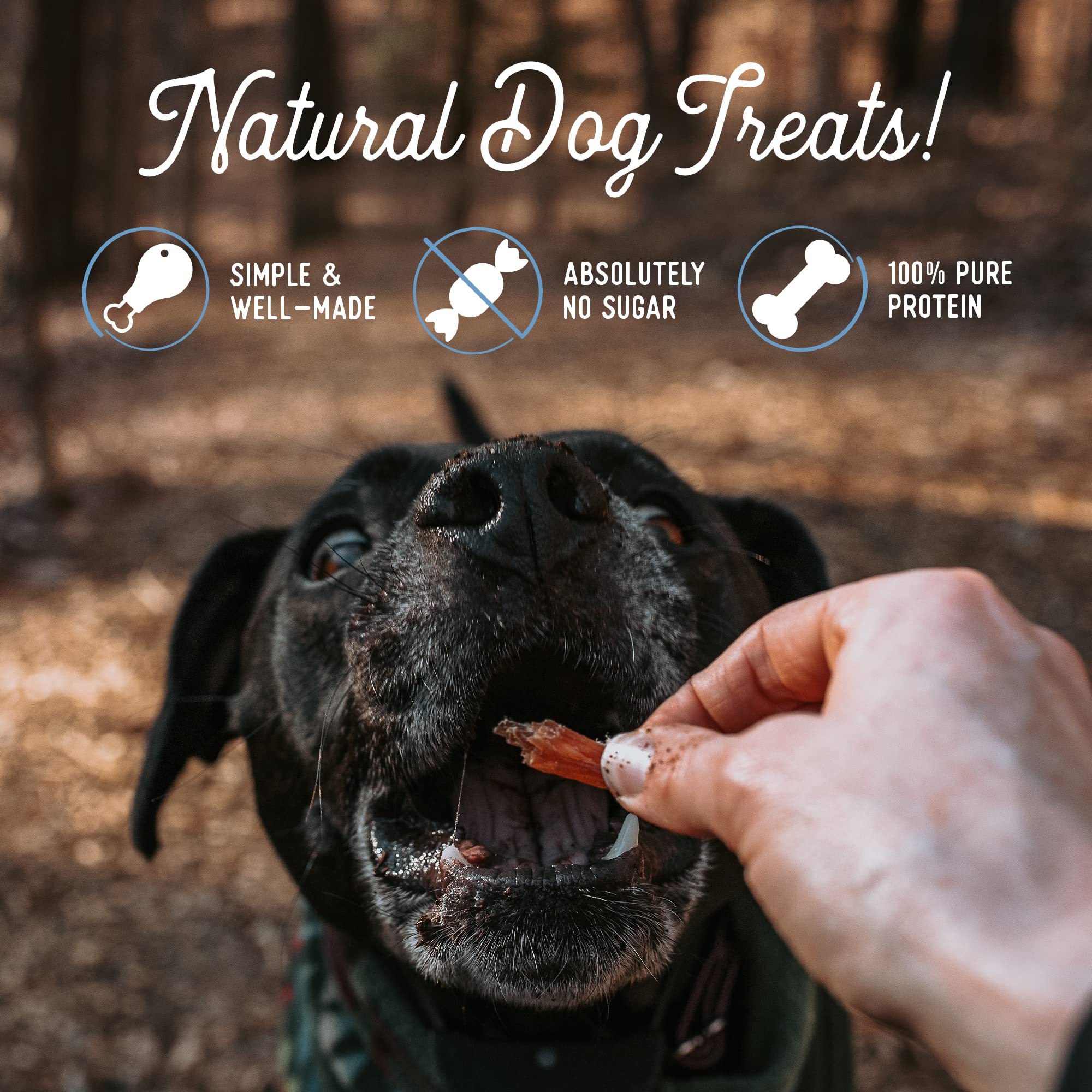 Beg & Barker Turkey Jerky for Dogs - 4oz Natural Grain-Free Dog Treats, High Protein Training Snacks, USA Made, Diabetic & Sugar-Free - Perfect for Reward Training, Travel & Outdoor Adventures