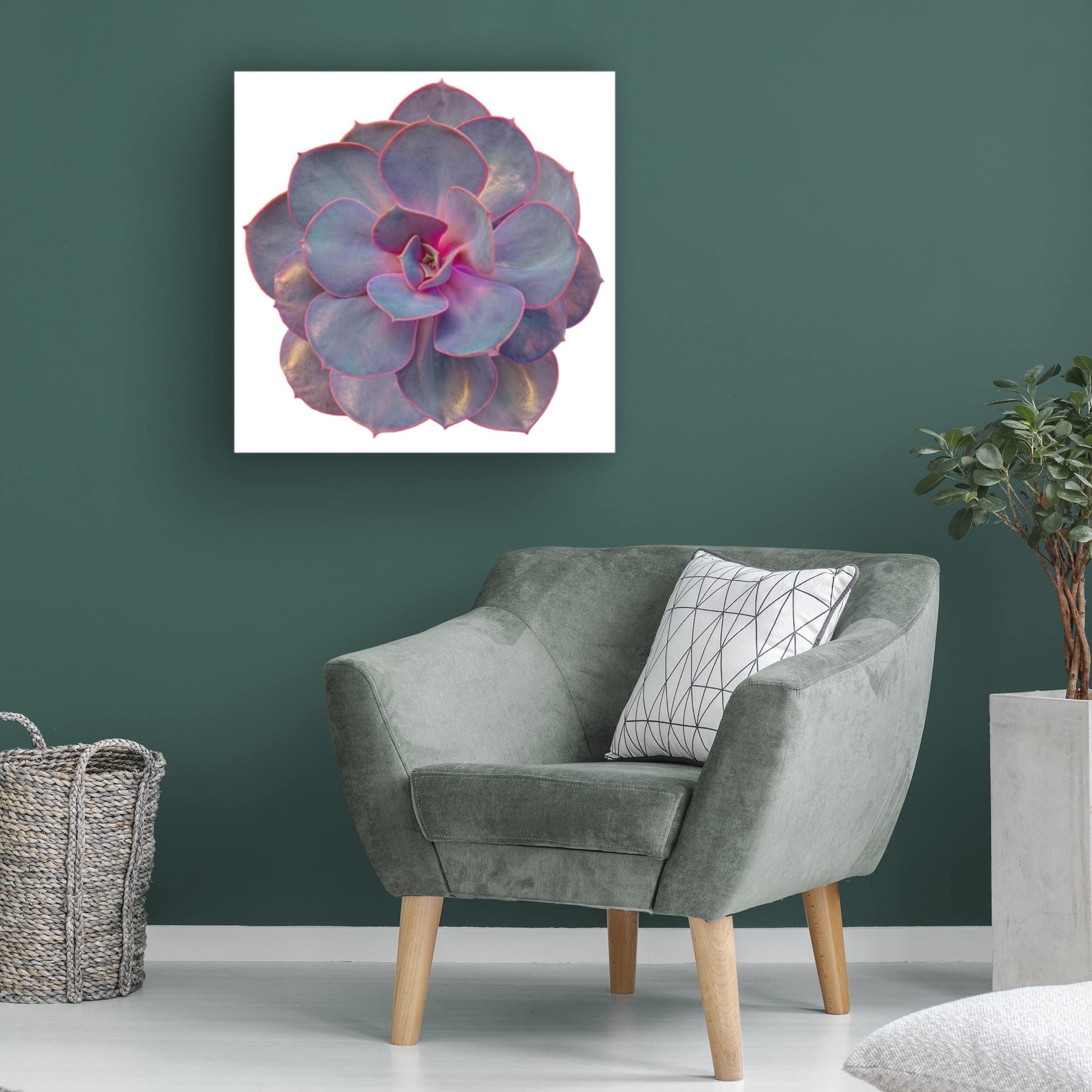 Trademark Fine Art 'Succulent Cut Out 02' Canvas Wall Art by Cora Niele - Modern Botanical Painting for Living Room, Bedroom & Office Decor