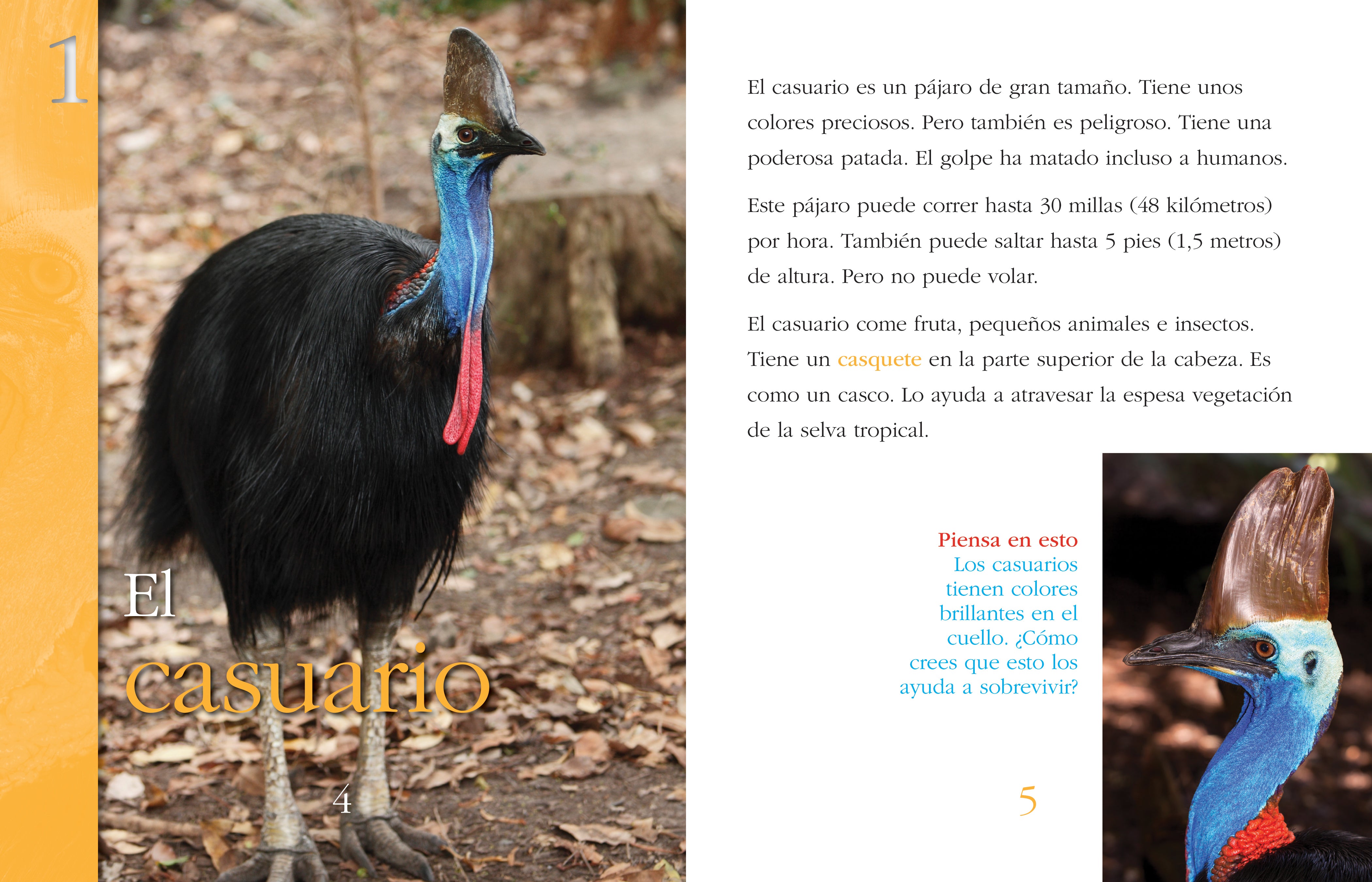 Dangerous Animals - Top 10 Most Deadly Wild Creatures | Wildlife Education & Survival Guide for Outdoor Adventures