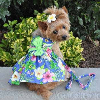 DOGGIE DESIGN - Blue Lagoon Hawaiian Hibiscus Dog Dress with Matching Leash DD# 66887 (Medium) | Tropical Pet Outfit for Beach, Summer & Special Occasions