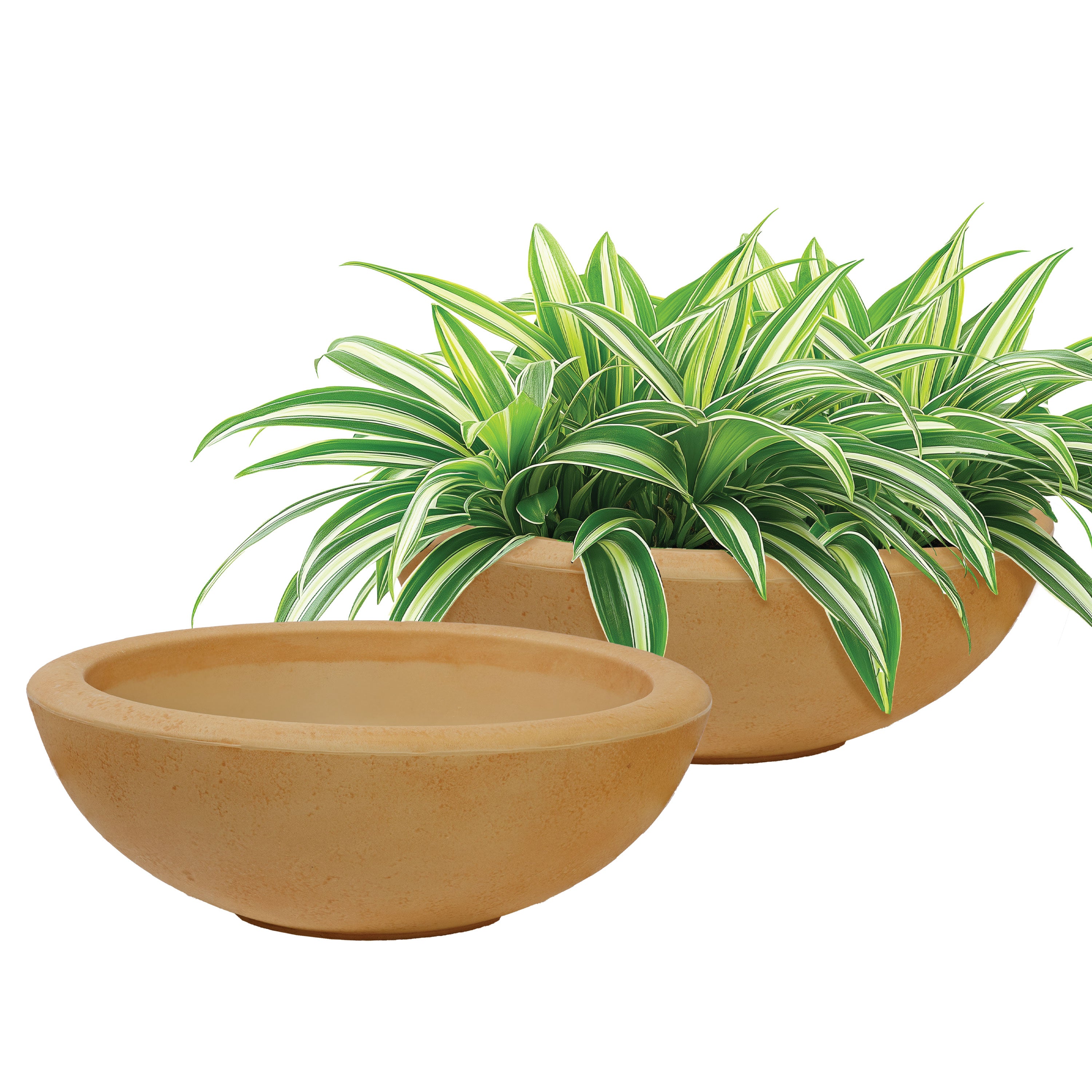 20.75 Inch Sunnydaze Percival Polyresin Outdoor Planter Bowl - Durable Garden Decor for Patio, Porch & Backyard Landscaping