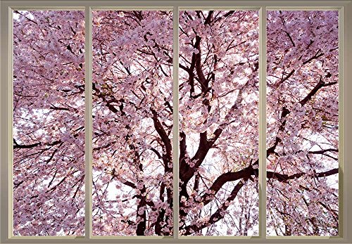 Branches