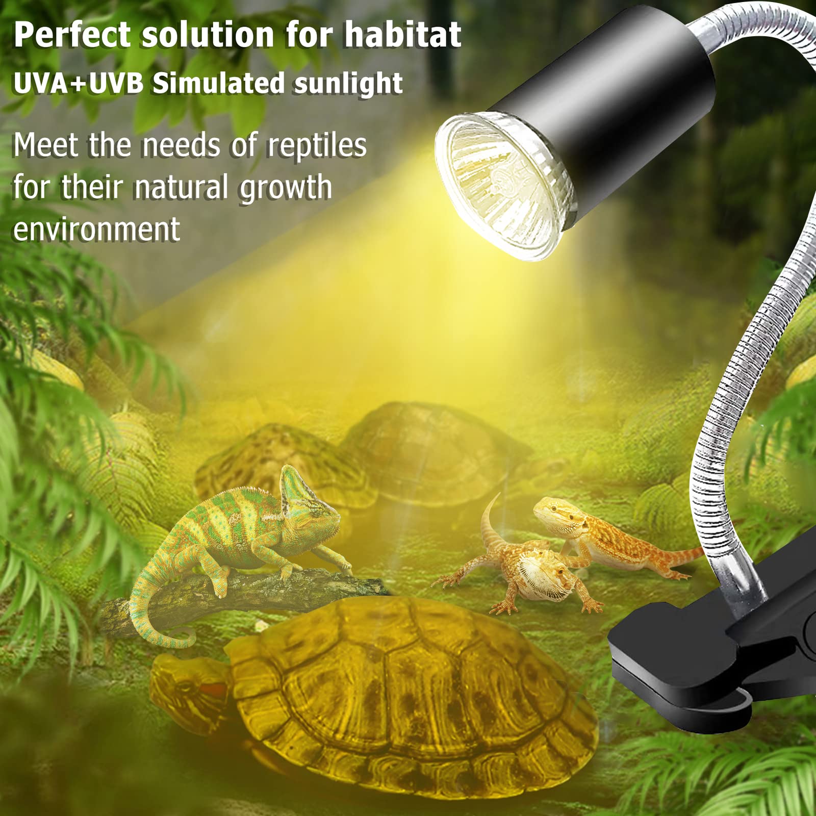 IOOTSEA 50W Reptile Heat Lamp with UVA UVB Bulbs - Adjustable Basking Light for Turtles, Lizards & Snakes - Perfect for Terrariums & Aquariums