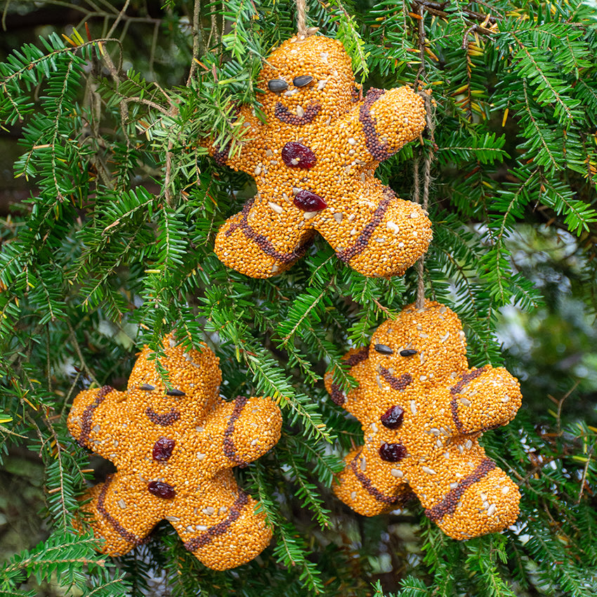3-Piece Gingerbread Men Cookie Set - Perfect for Holiday Baking, Christmas Decor & Gift Giving