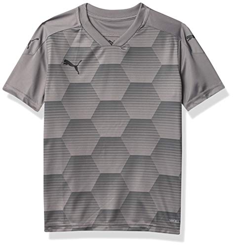 Steel Gray/Black
