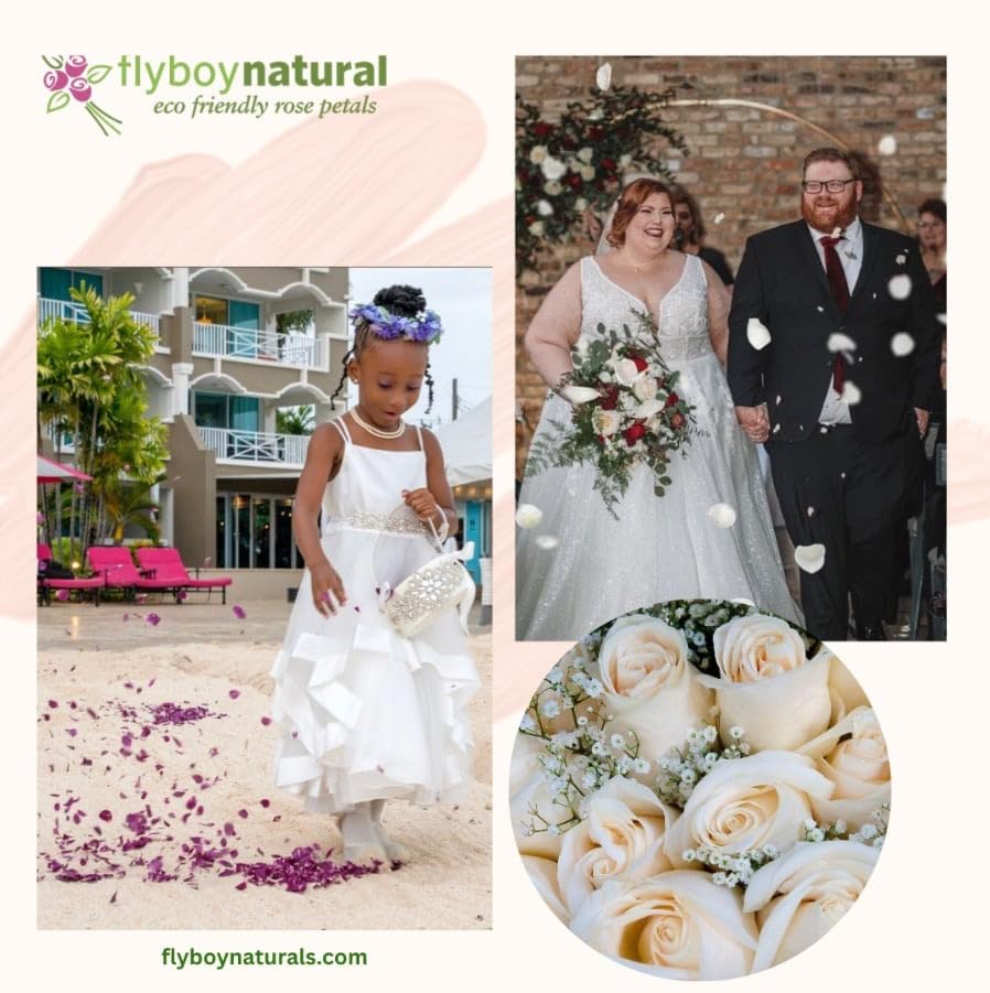 Premium Freeze-Dried Ivory Rose Petals - 1100 Count | Natural Wedding Decor, Aisle Scatter & Romantic Table Centerpieces | Flyboy Naturals