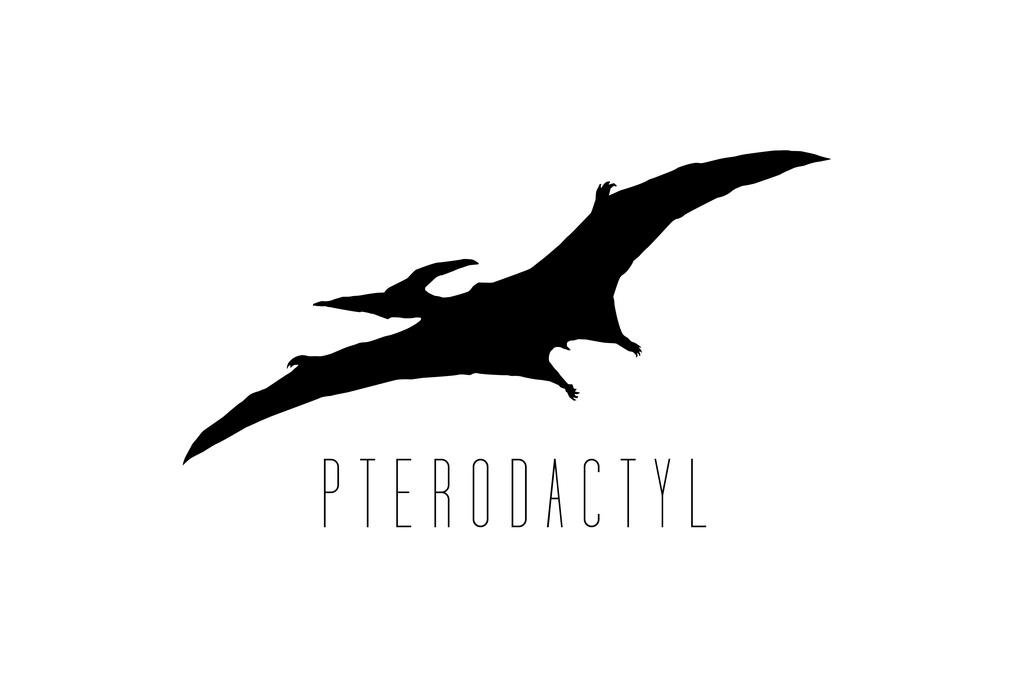 Dinosaur Pterodactyl White Poster - Kids Room Decor, Dino Wall Art Print for Bedroom, Cool Wall Decor 24x16 - Perfect for Nursery, Playroom & Dinosaur Themed Party Decorations