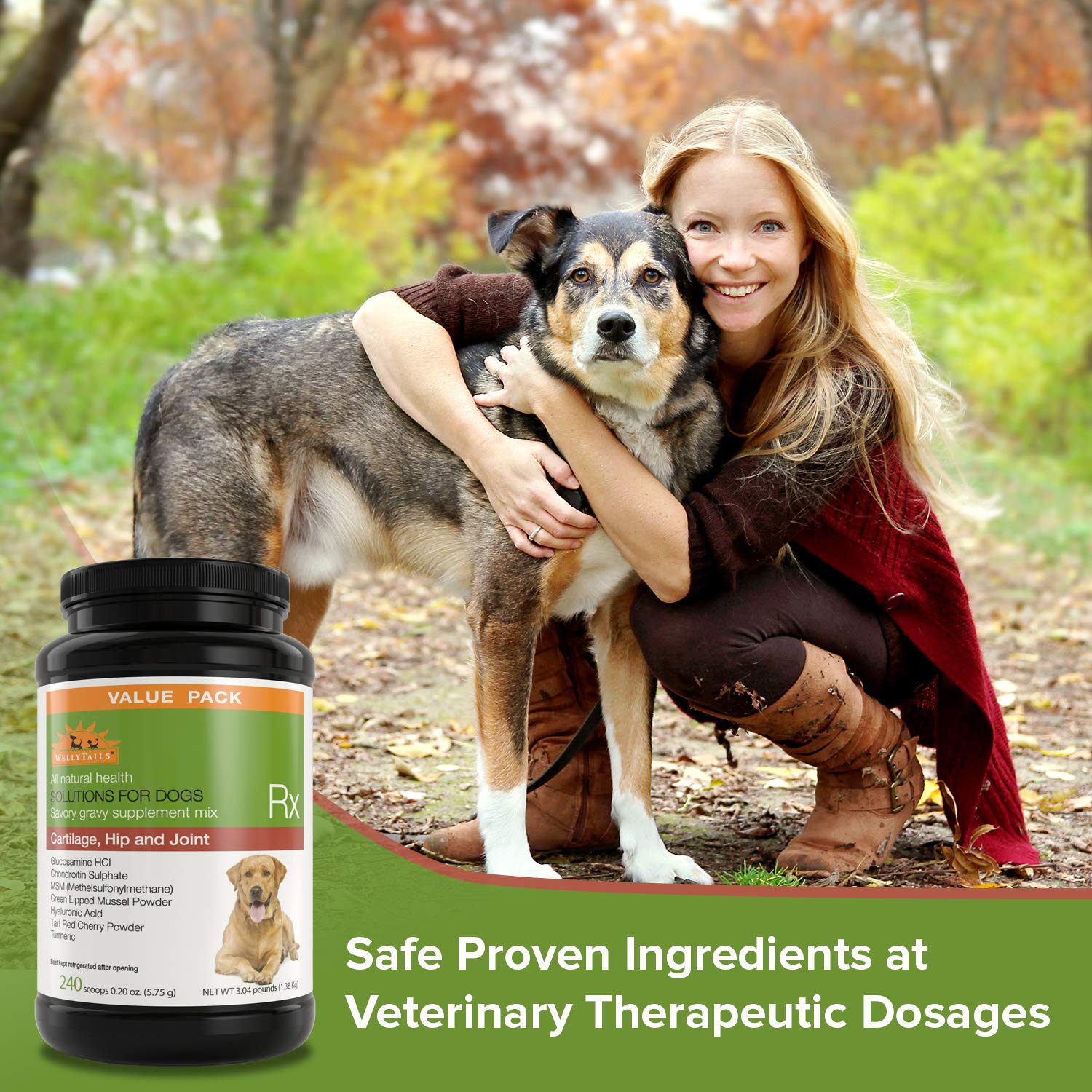 Premium Glucosamine Chondroitin MSM & Turmeric Joint Supplement for Large Dogs - 48.8oz (240 Scoops) - Supports Hip & Joint Health for Senior & Active Dogs - Ideal for Mobility & Arthritis Relief