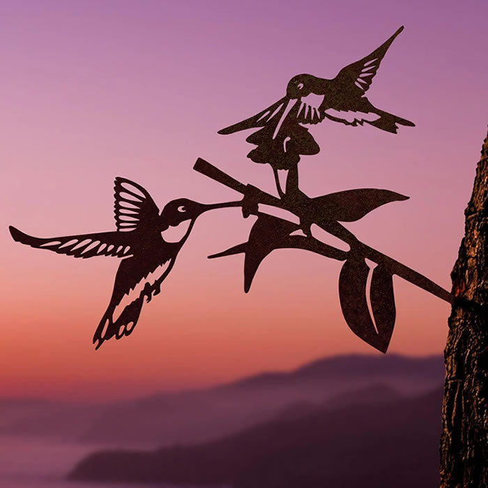 Hummingbird Honeys - Pure Natural Nectar for Hummingbird Feeders - Perfect for Backyard Birdwatching & Garden Wildlife Attraction