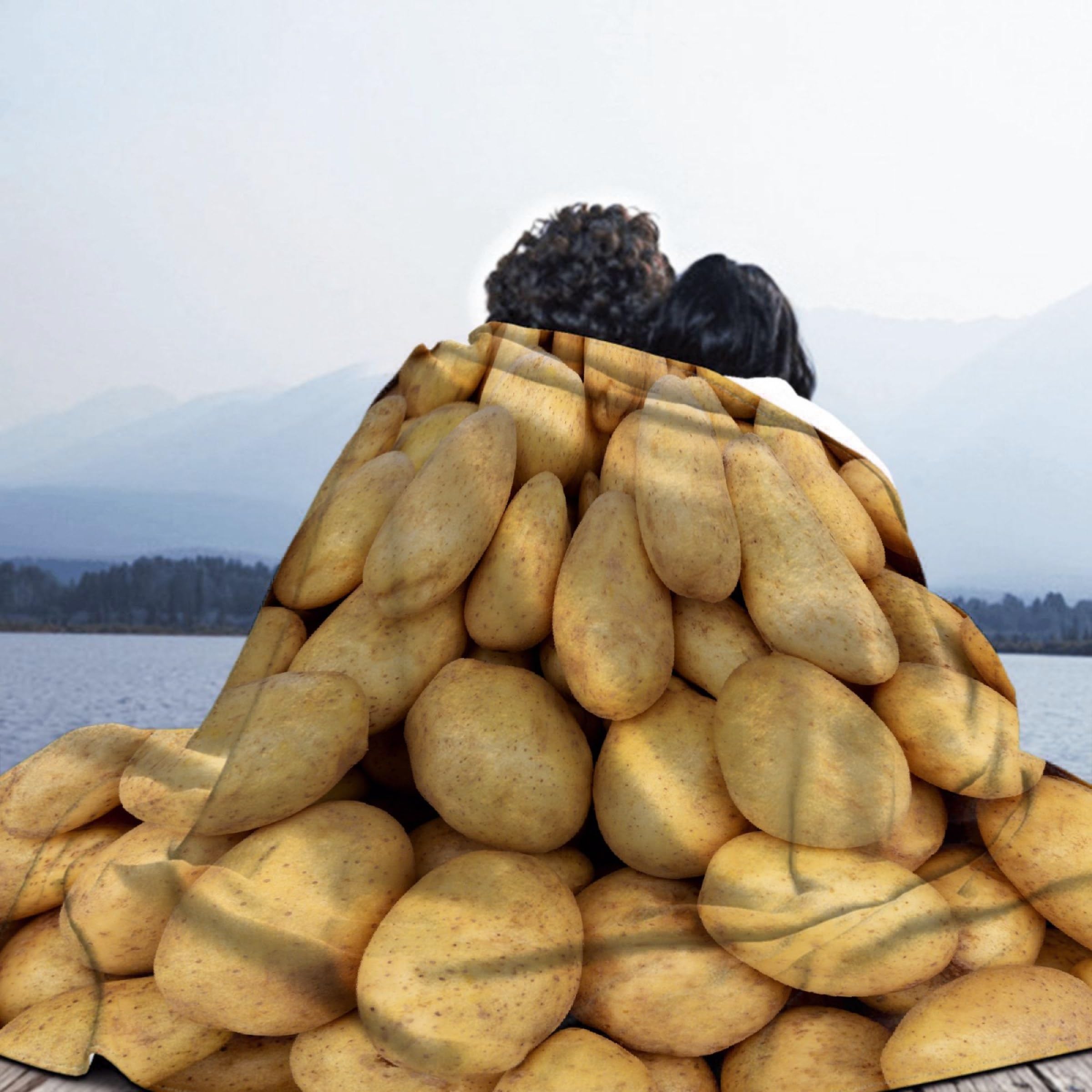 Funny Potato Blanket - 80