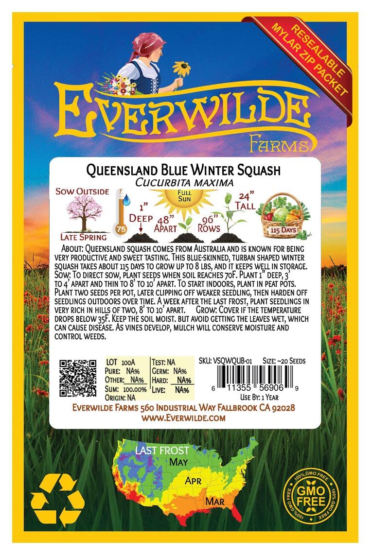 Everwilde Farms - 20 Queensland Blue Winter Squash Seeds - Gold Vault Jumbo Seed Packet - Non-GMO Heirloom Pumpkin Seeds for Fall Gardening & Thanksgiving Decor