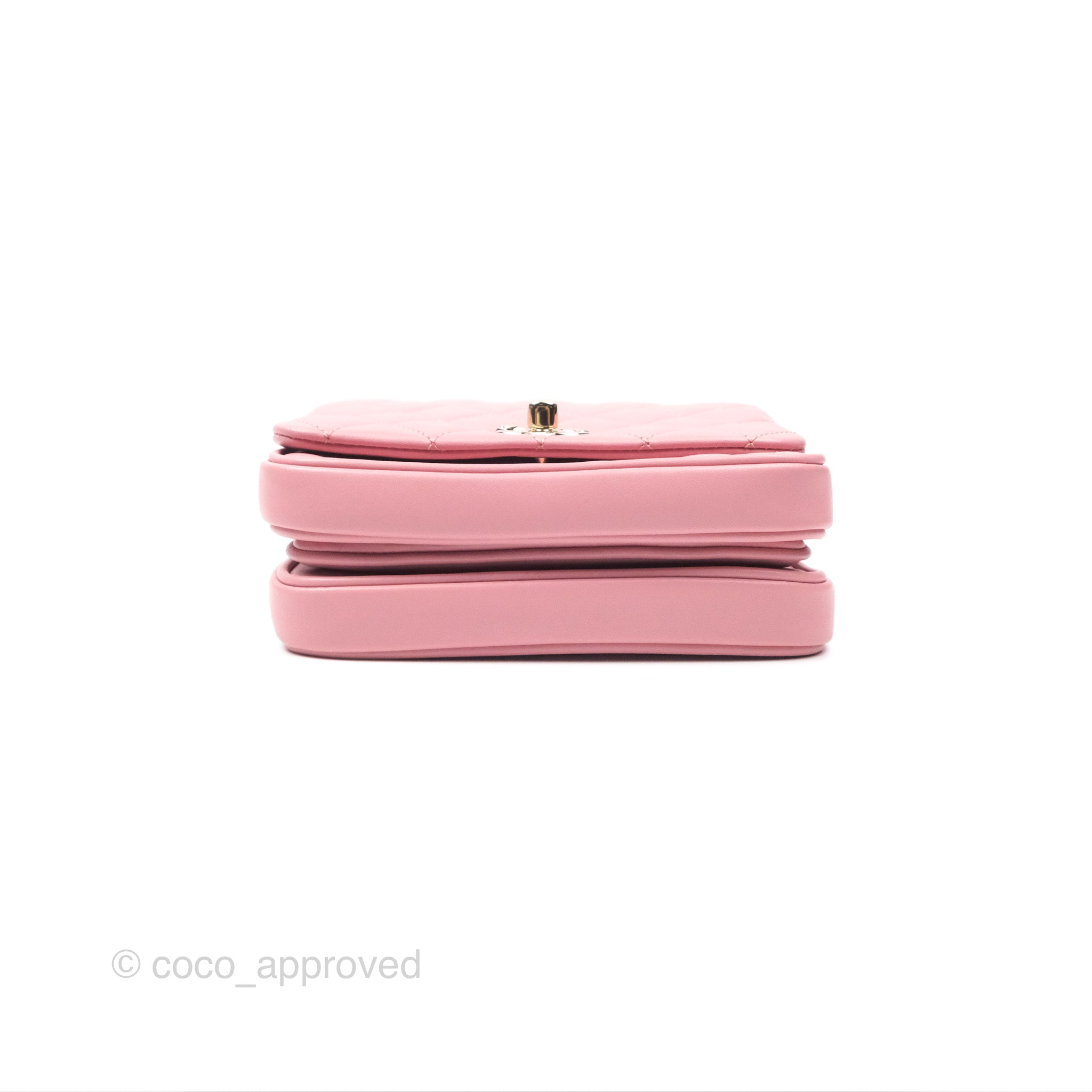 Chanel Citizen Chic Flap Bag in Pink Lambskin Leather with Gold Hardware - Luxury Crossbody Purse for Women, Perfect for Date Night & Special Occasions