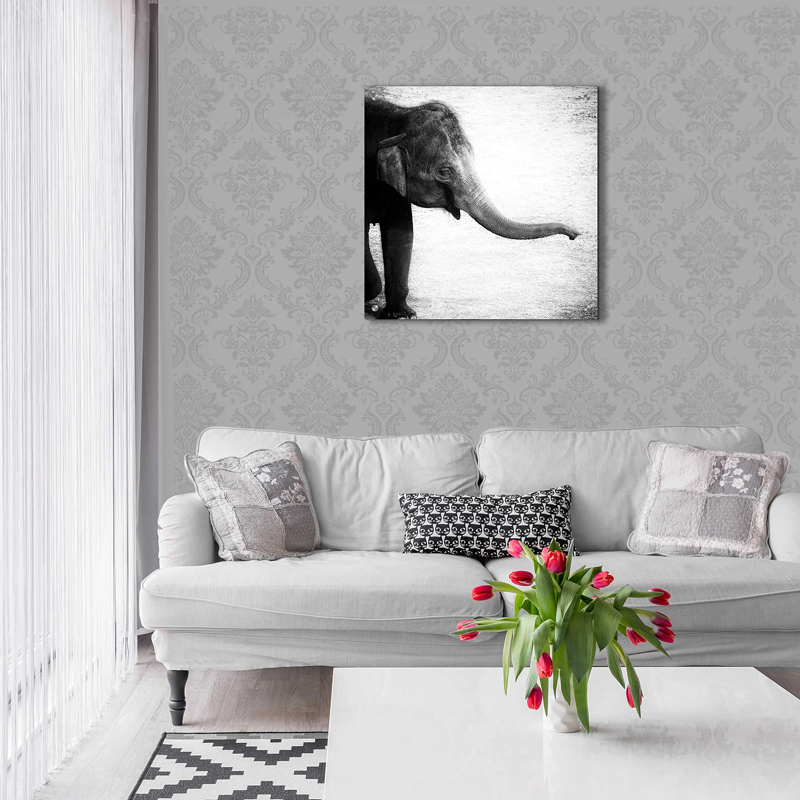 Debra Van Swearingen 'Elephant II' Acrylic Glass Wall Art - 24x24 Inch Modern Abstract Animal Painting for Living Room, Bedroom & Office Decor