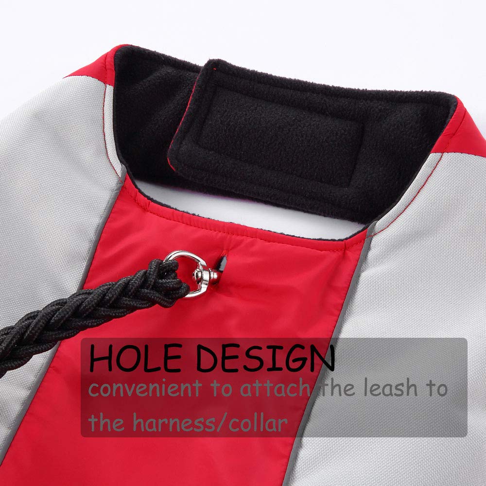 Dog Winter Coat - Warm Vest for Small to Large Dogs - Outdoor & Water Sports