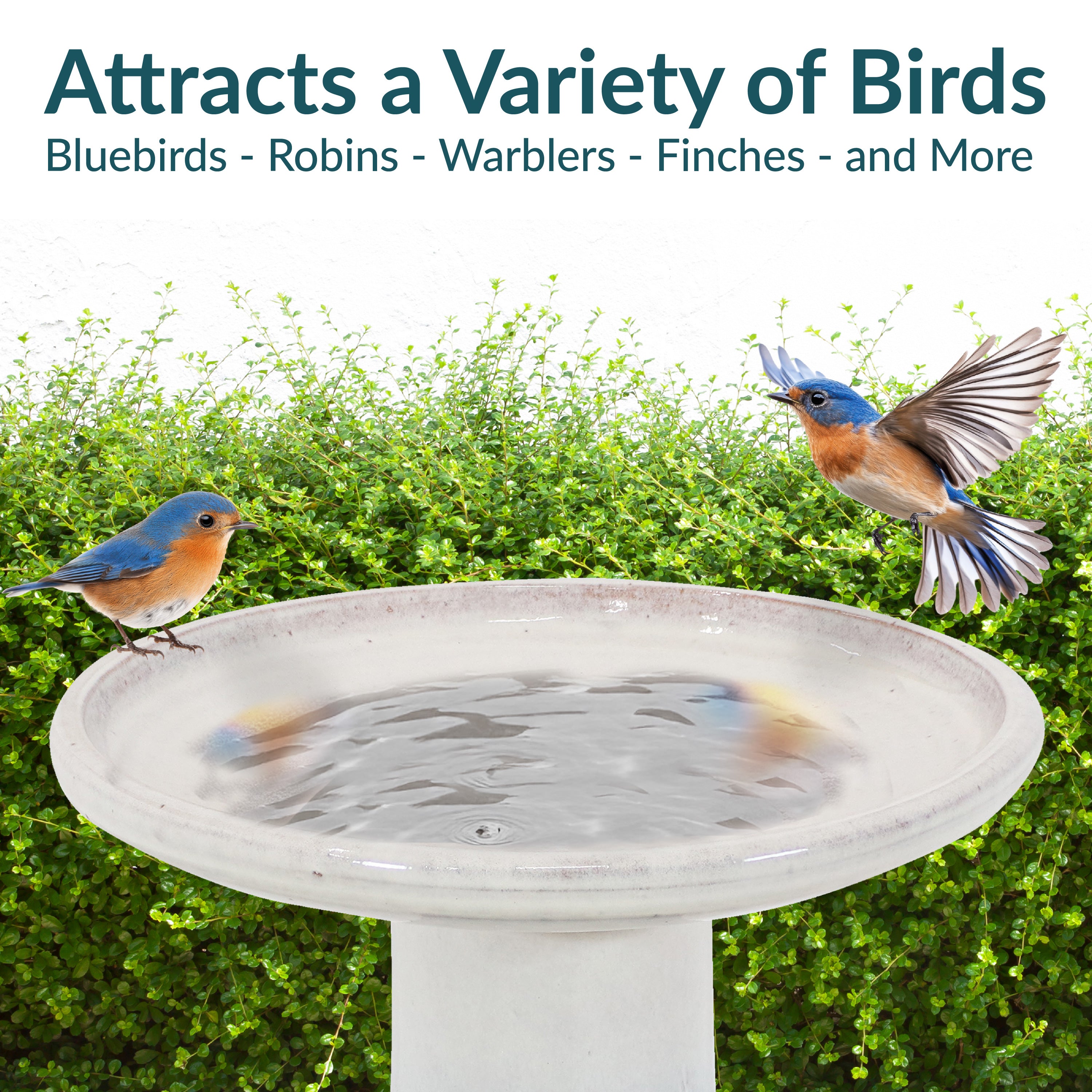 Sunnydaze 18 Inch Glazed Ceramic Outdoor Bird Bath - Garden Decor for Attracting Birds & Enhancing Outdoor Spaces